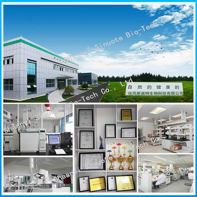 扶風斯諾特工廠 聚焦人參提取物與環保產品研發，引領綠色健康產業新趨勢